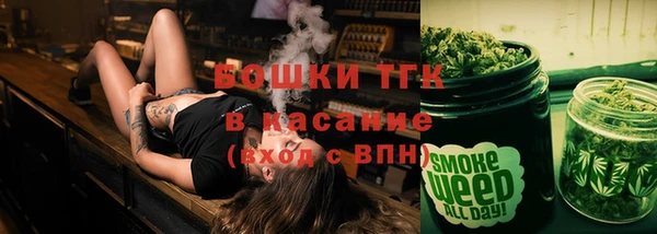 хмурый Арсеньев