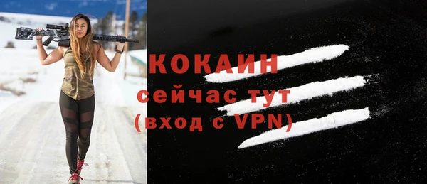 хмурый Арсеньев