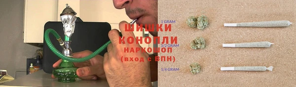 хмурый Арсеньев