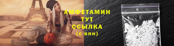 хмурый Арсеньев