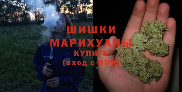 хмурый Арсеньев