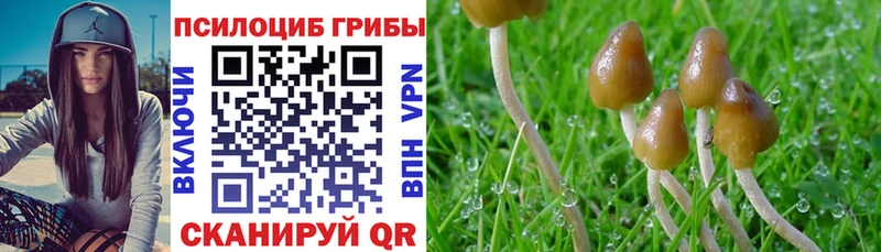 Галлюциногенные грибы мухоморы  Сарапул 